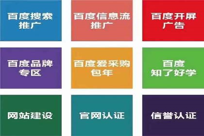 百度推广代运营公司案例分析